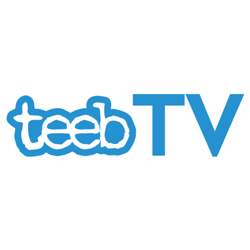 Teeb TV Networks